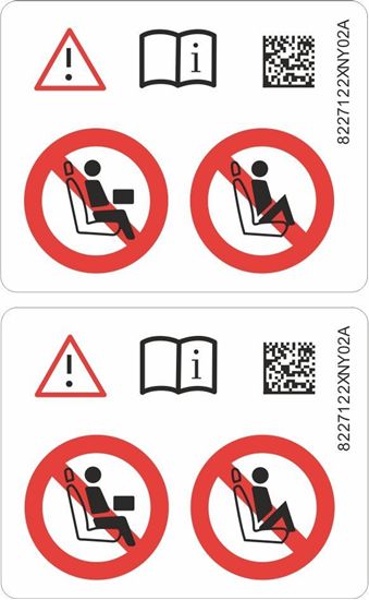 Mini Electric Models B Pillar Door Labels